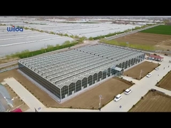 เรือนกระจกแก้ว