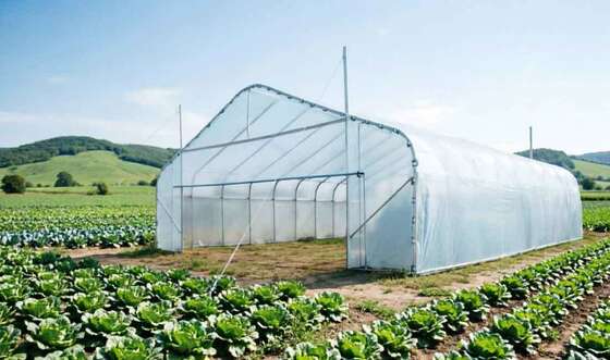 Customizable Tunnels Greenhouse Agricultural Greenhouses and Farm Greenhouse Nursery Green House China Factory Export Poly Tunnel Greenhouse